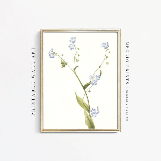 Printable Vintage Art Floral Drawing