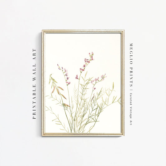 Printable Vintage Art Floral Drawing