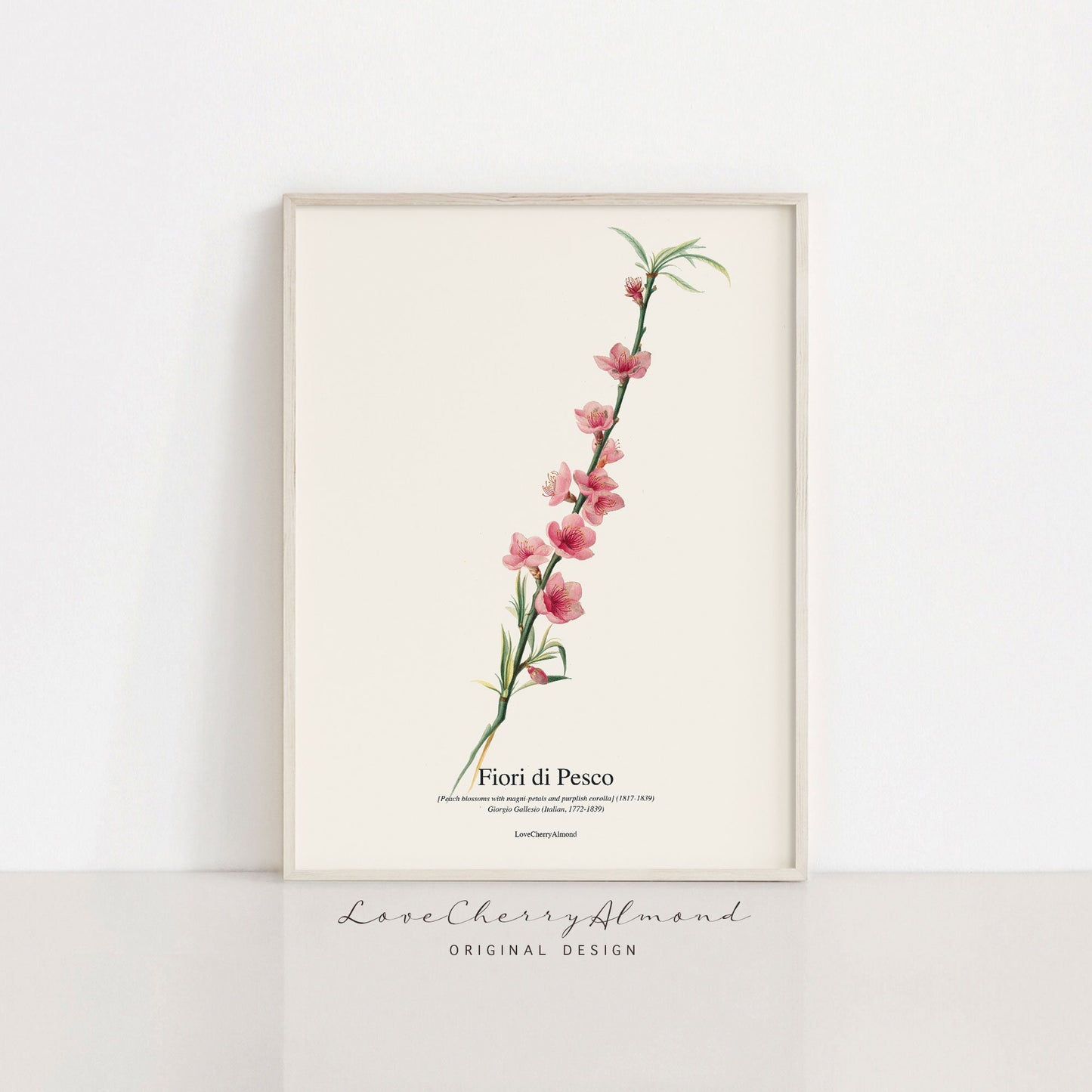 Set mit 6 botanischen druckbaren Wandbildern | Kirschblumendrucke