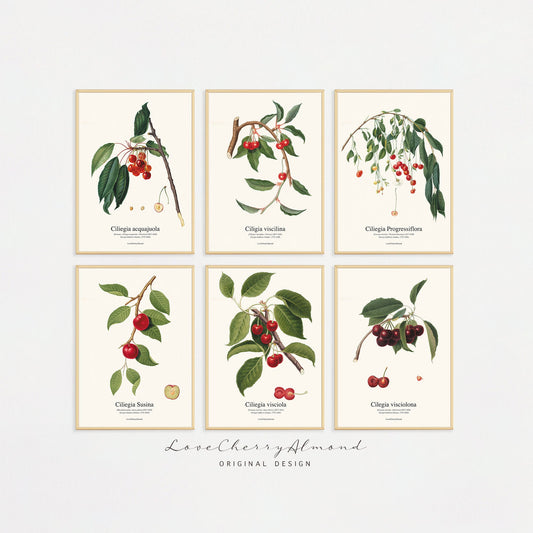 Set of 6 Botanical Printable Wall Arts | Cherry Print